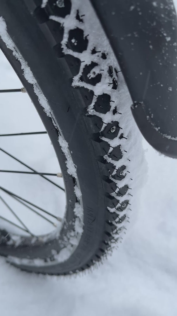 Vinterdäck med dubb (Schwalbe)